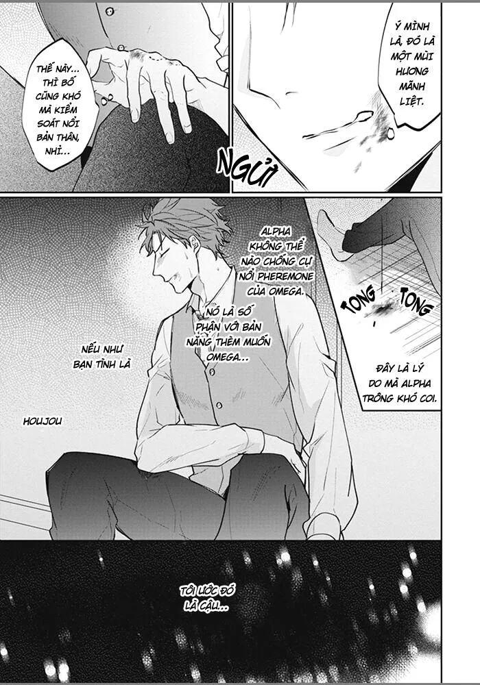 Đứa Con Của Alpha Chapter 6 Trang 19