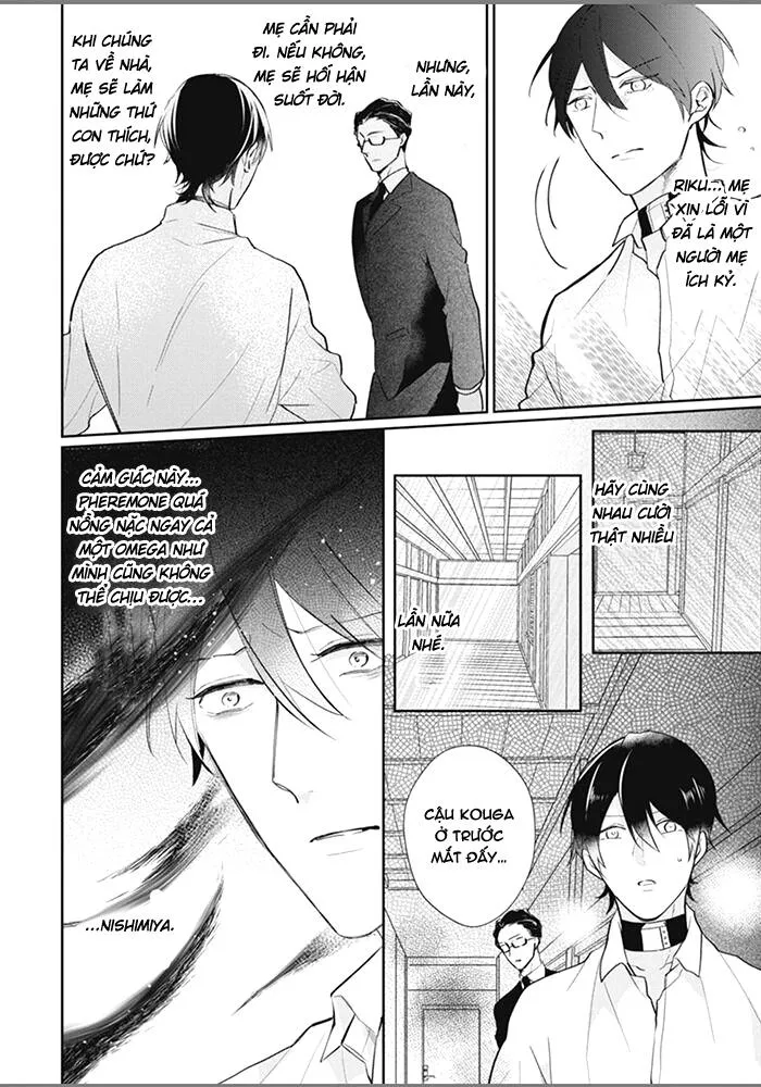 Đứa Con Của Alpha Chapter 6 Trang 22