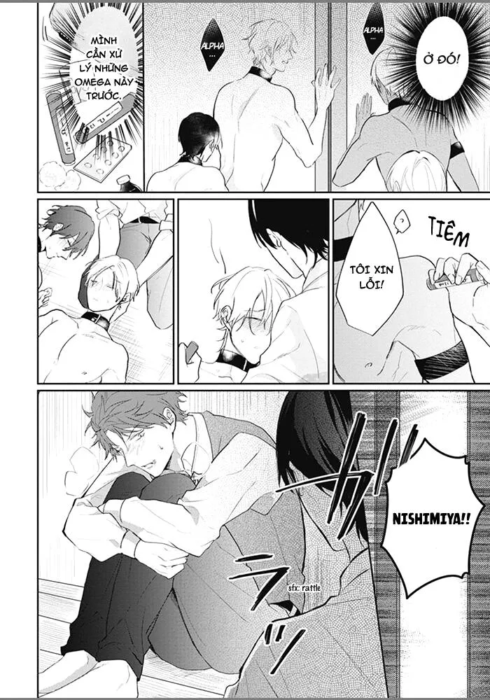 Đứa Con Của Alpha Chapter 6 Trang 24
