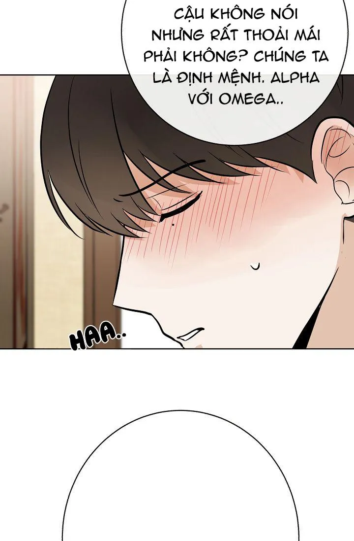 Đứa Trẻ Này Là Con Tôi (END) Chapter 9 Trang 79