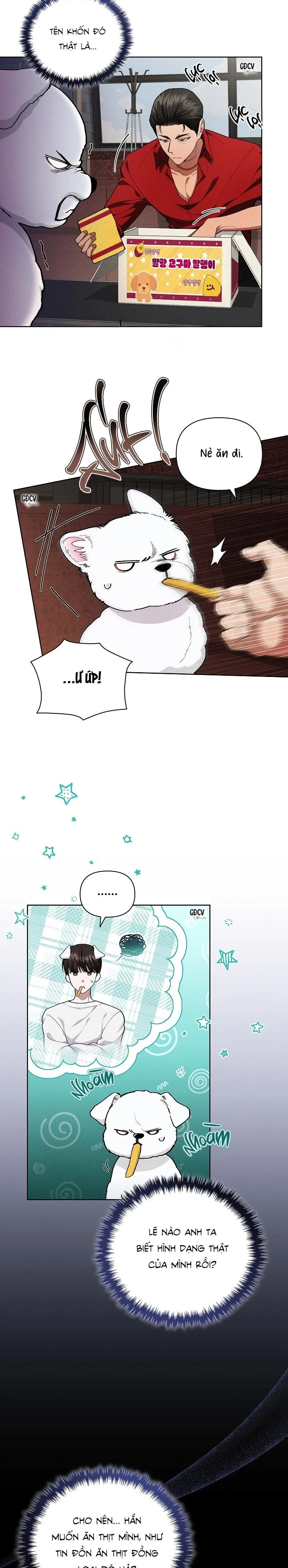 ĐỪNG CHẠM VÀO CÚN CON CỦA TÔI Chapter 2 Trang 3