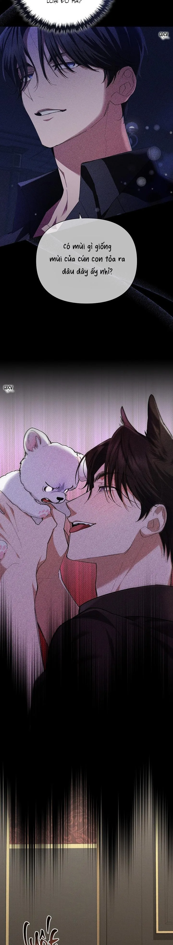 ĐỪNG CHẠM VÀO CÚN CON CỦA TÔI Chapter 2 Trang 4