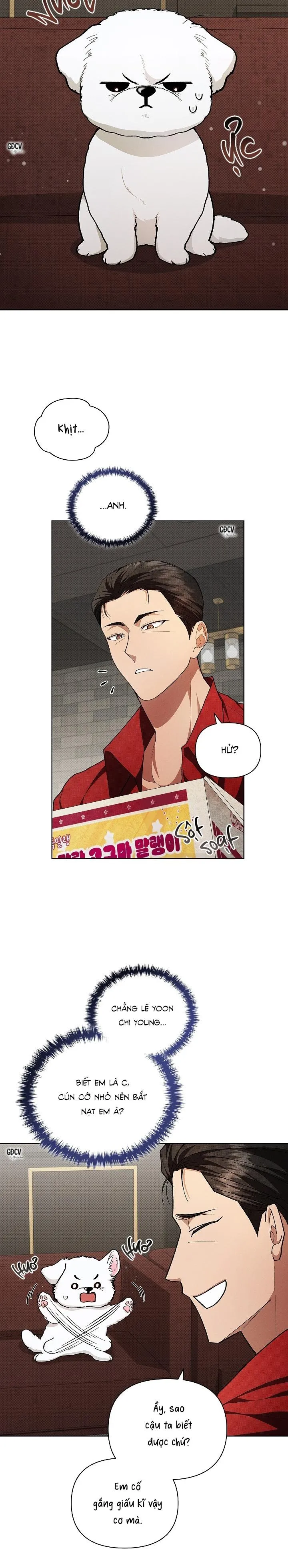 ĐỪNG CHẠM VÀO CÚN CON CỦA TÔI Chapter 2 Trang 5