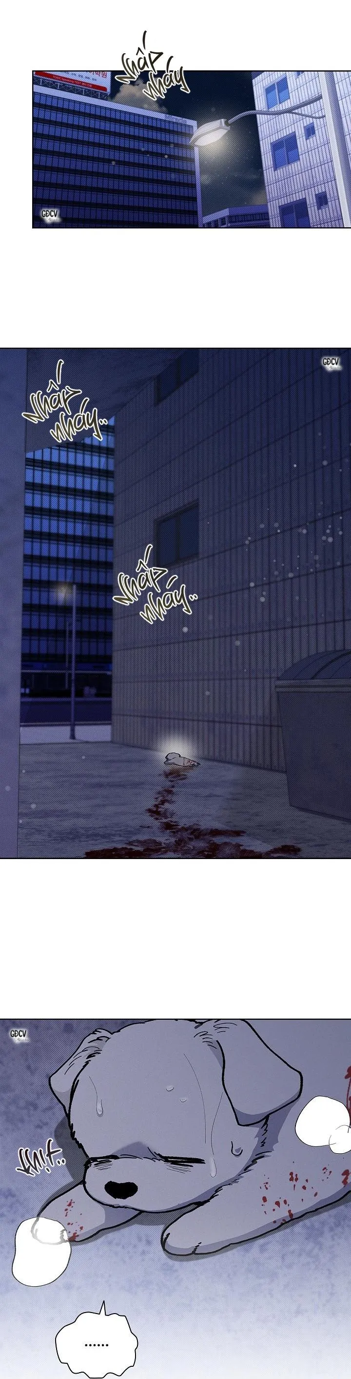 ĐỪNG CHẠM VÀO CÚN CON CỦA TÔI Chapter 3 Trang 26