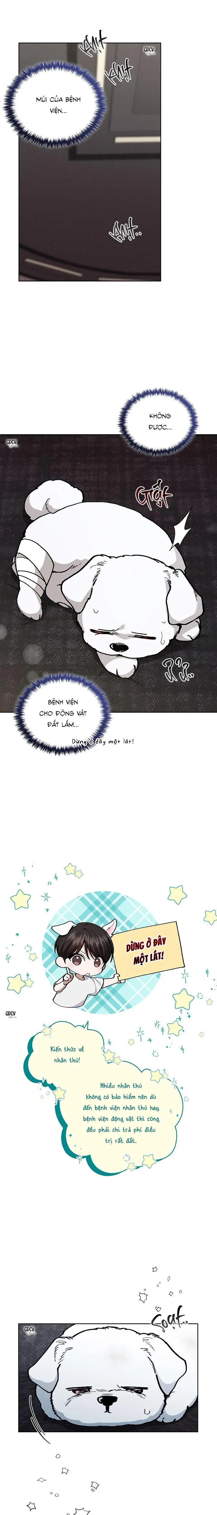 ĐỪNG CHẠM VÀO CÚN CON CỦA TÔI Chapter 3 Trang 32