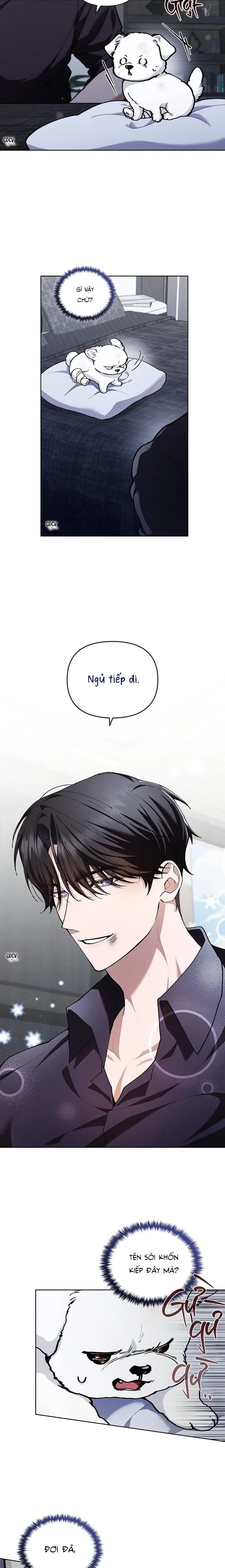 ĐỪNG CHẠM VÀO CÚN CON CỦA TÔI Chapter 3 Trang 34