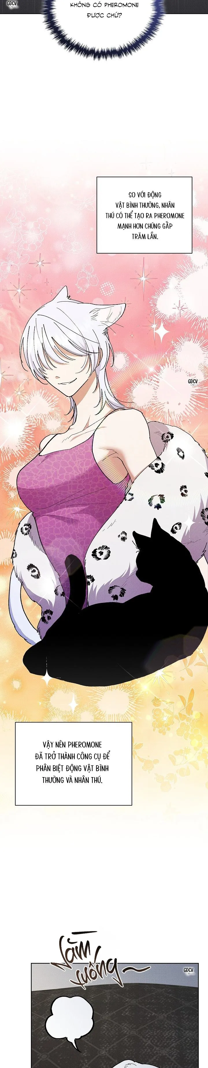 ĐỪNG CHẠM VÀO CÚN CON CỦA TÔI Chapter 4 Trang 3