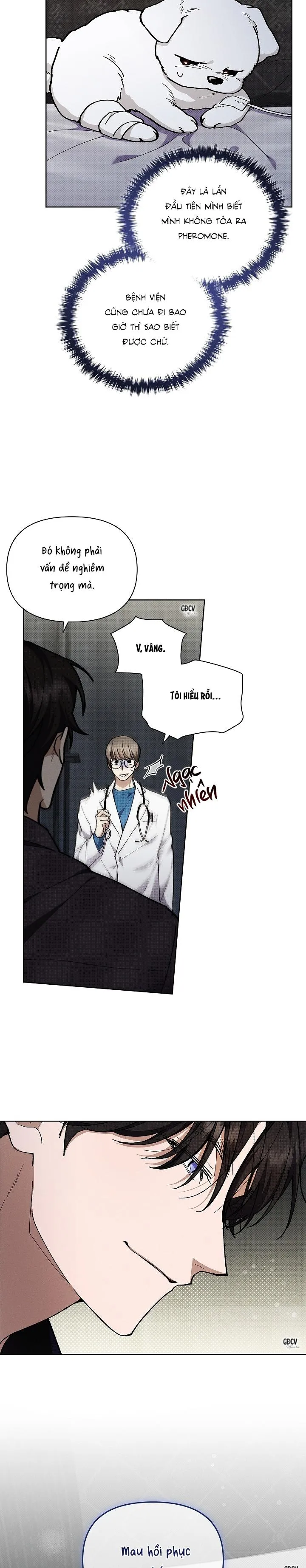 ĐỪNG CHẠM VÀO CÚN CON CỦA TÔI Chapter 4 Trang 4