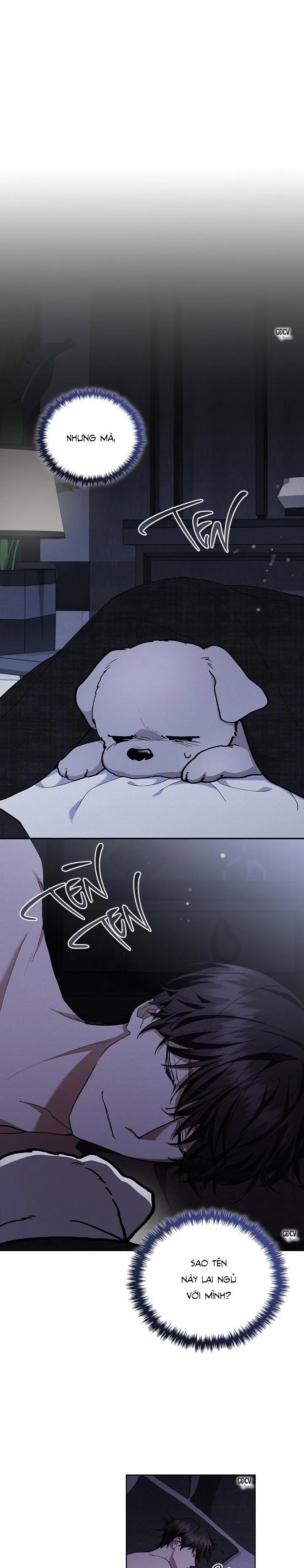 ĐỪNG CHẠM VÀO CÚN CON CỦA TÔI Chapter 4 Trang 7