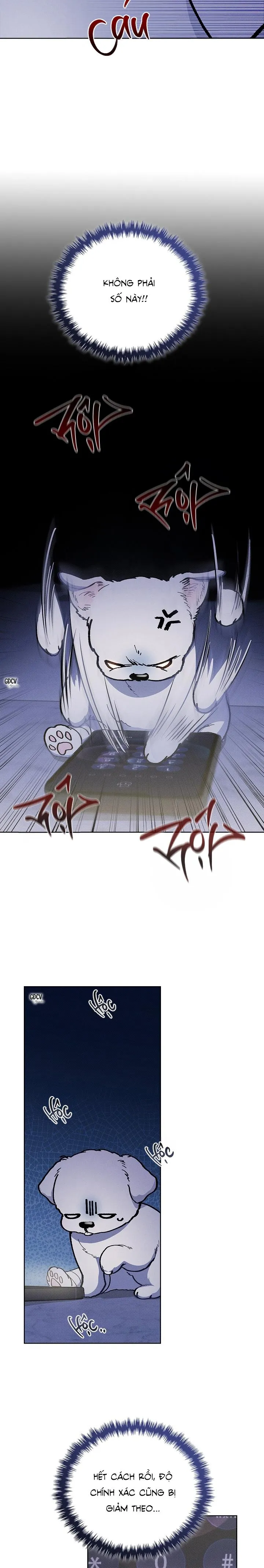 ĐỪNG CHẠM VÀO CÚN CON CỦA TÔI Chapter 4 Trang 13