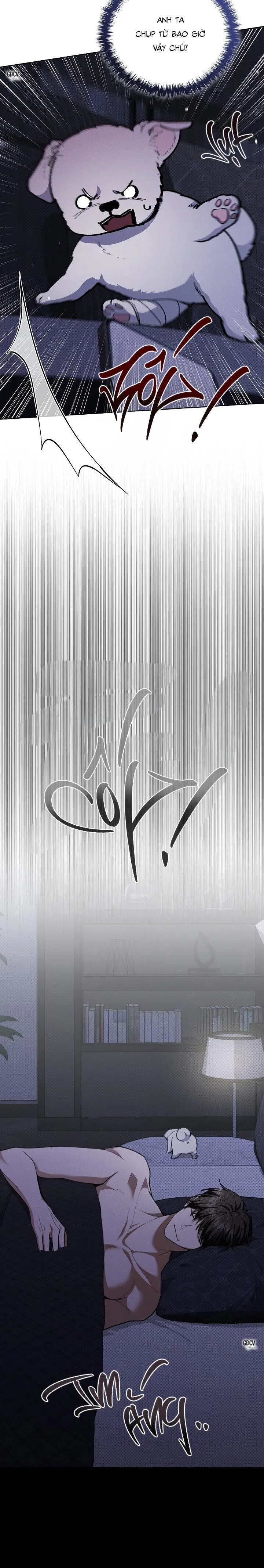 ĐỪNG CHẠM VÀO CÚN CON CỦA TÔI Chapter 4 Trang 15