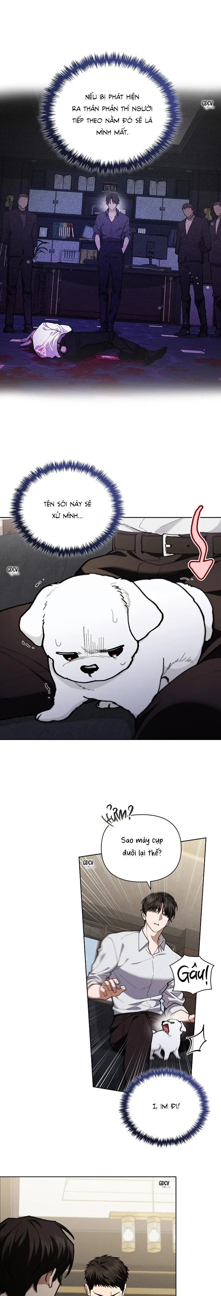 ĐỪNG CHẠM VÀO CÚN CON CỦA TÔI Chapter 4 Trang 26