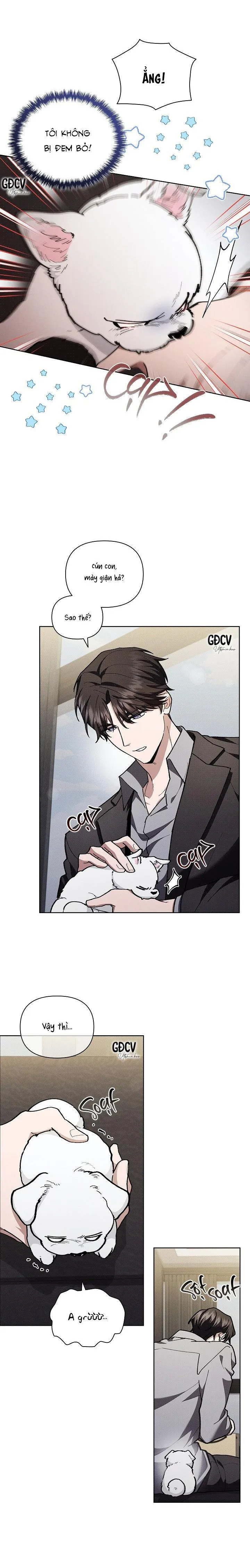 ĐỪNG CHẠM VÀO CÚN CON CỦA TÔI Chapter 5 Trang 8