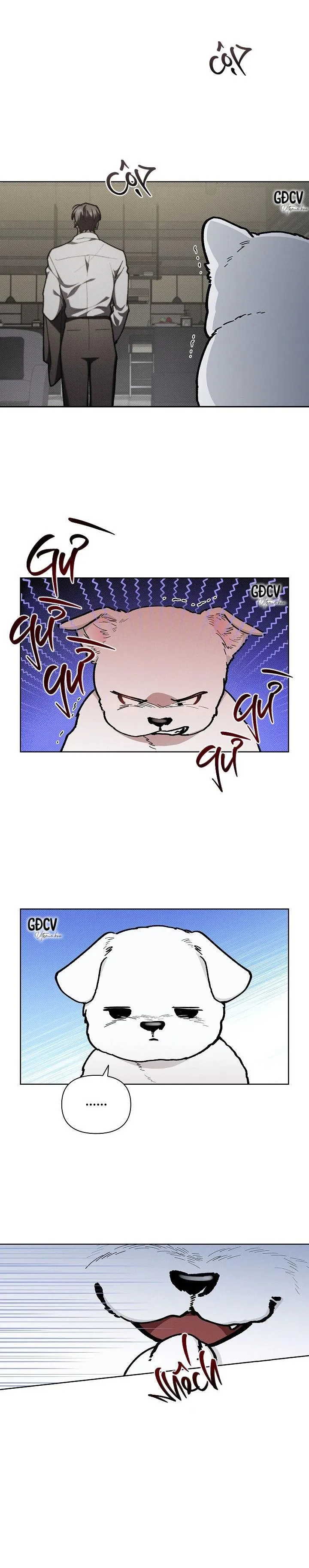 ĐỪNG CHẠM VÀO CÚN CON CỦA TÔI Chapter 5 Trang 10