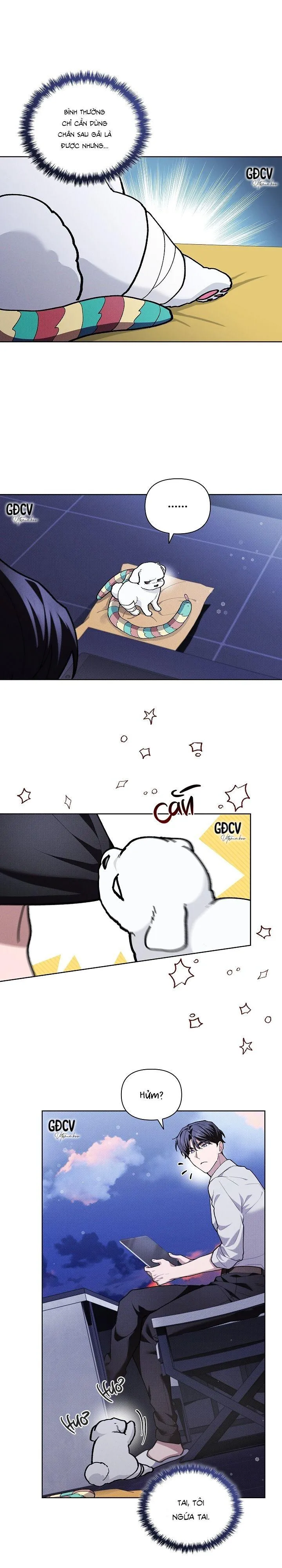 ĐỪNG CHẠM VÀO CÚN CON CỦA TÔI Chapter 6 Trang 15