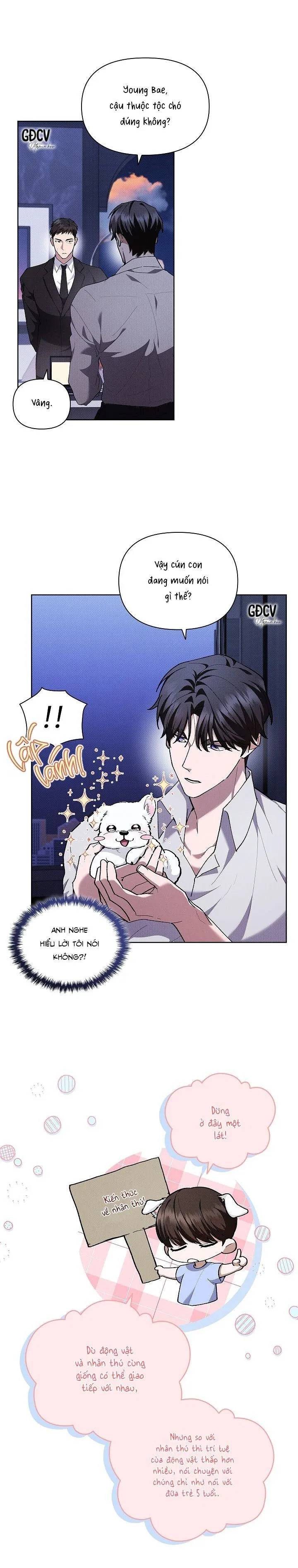 ĐỪNG CHẠM VÀO CÚN CON CỦA TÔI Chapter 6 Trang 18