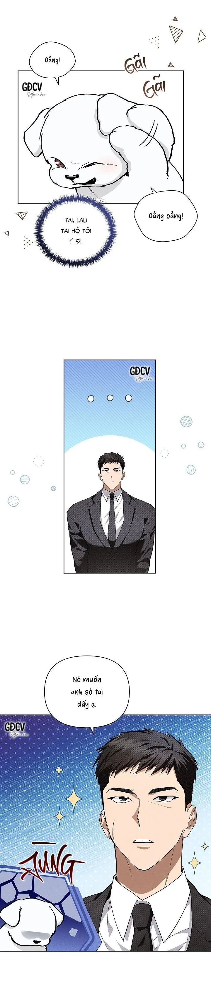 ĐỪNG CHẠM VÀO CÚN CON CỦA TÔI Chapter 6 Trang 19