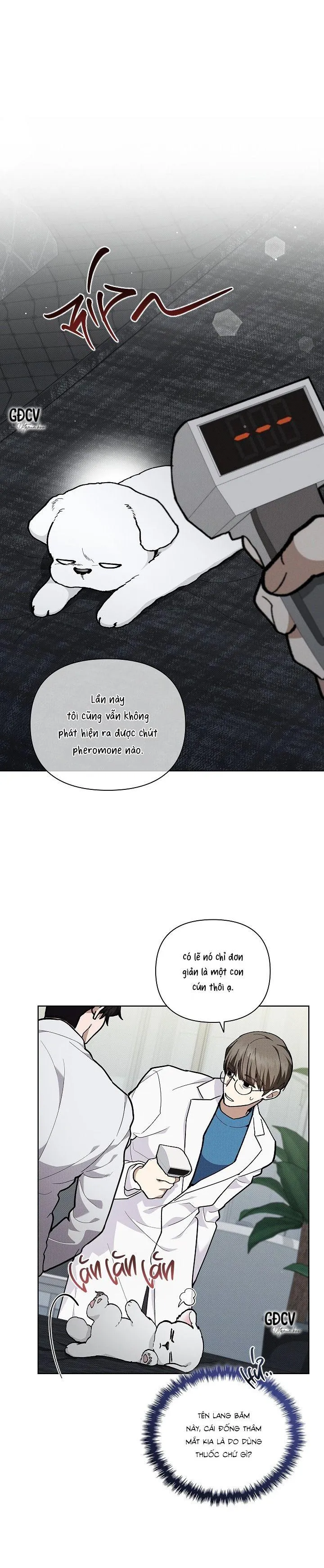 ĐỪNG CHẠM VÀO CÚN CON CỦA TÔI Chapter 7 Trang 5