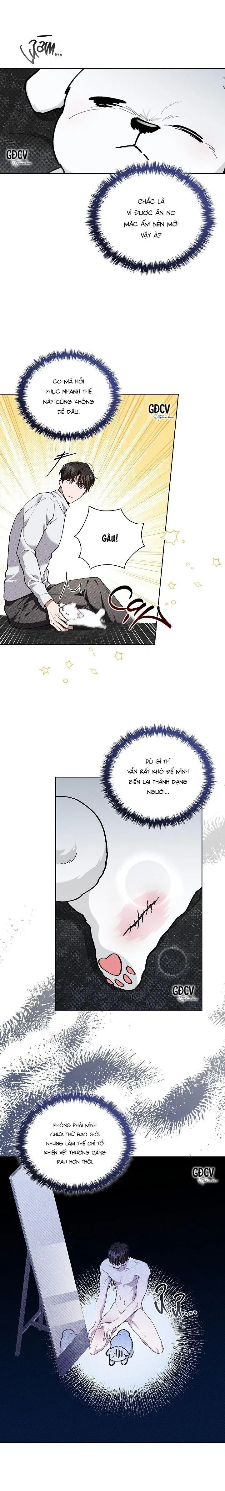 ĐỪNG CHẠM VÀO CÚN CON CỦA TÔI Chapter 7 Trang 7