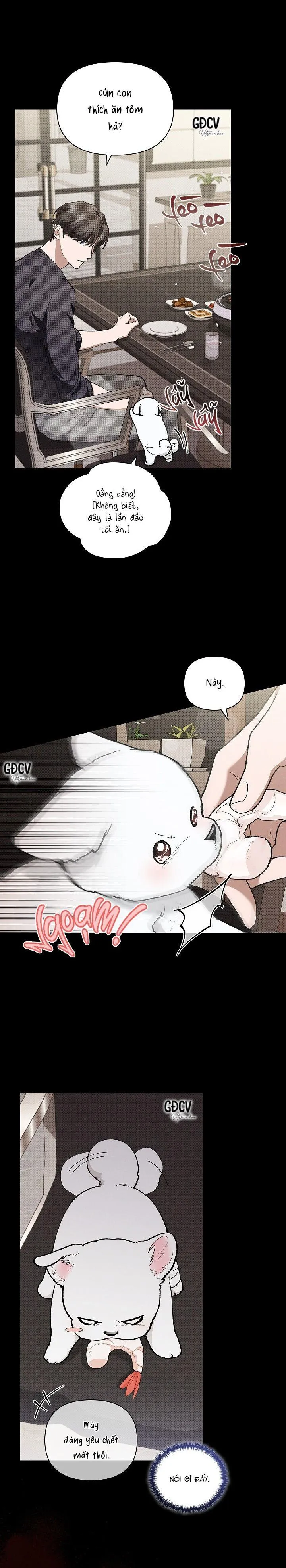 ĐỪNG CHẠM VÀO CÚN CON CỦA TÔI Chapter 7 Trang 10