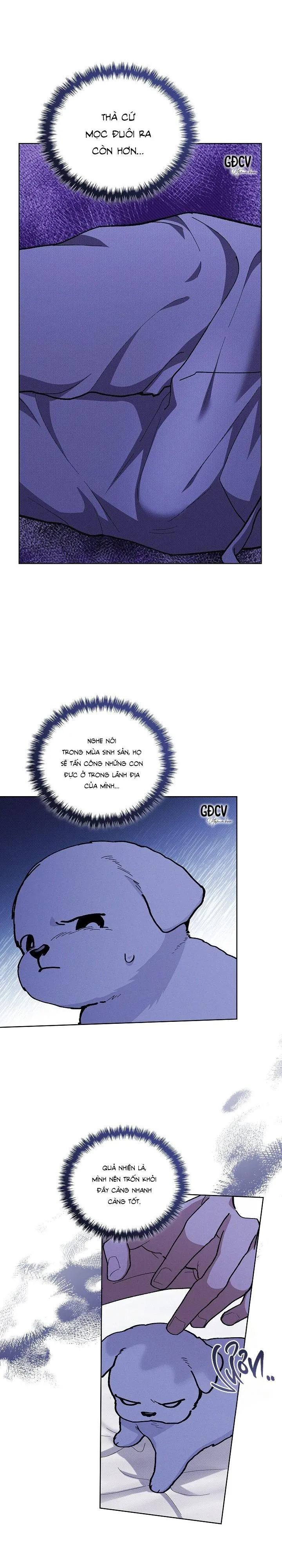 ĐỪNG CHẠM VÀO CÚN CON CỦA TÔI Chapter 7 Trang 20