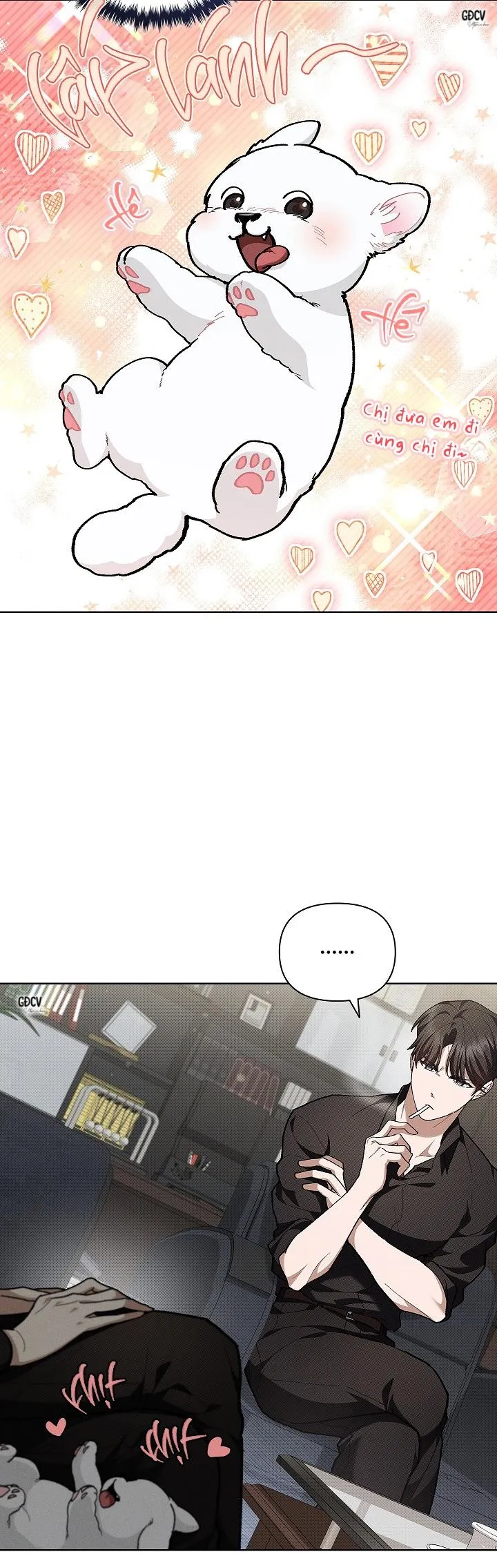 ĐỪNG CHẠM VÀO CÚN CON CỦA TÔI Chapter 8 Trang 6