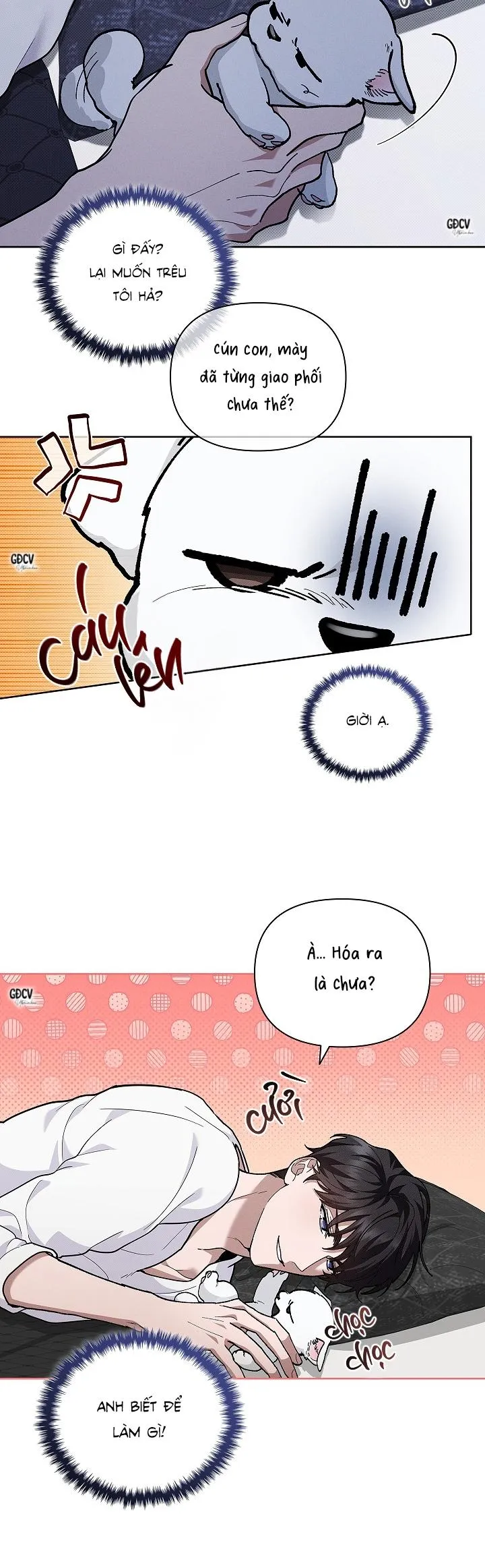 ĐỪNG CHẠM VÀO CÚN CON CỦA TÔI Chapter 8 Trang 24