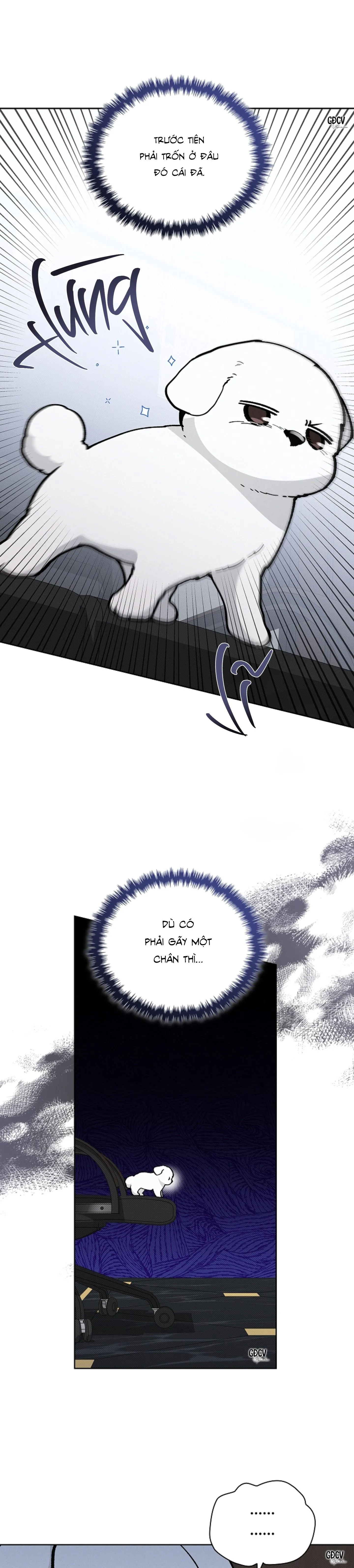 ĐỪNG CHẠM VÀO CÚN CON CỦA TÔI Chapter 9 Trang 19
