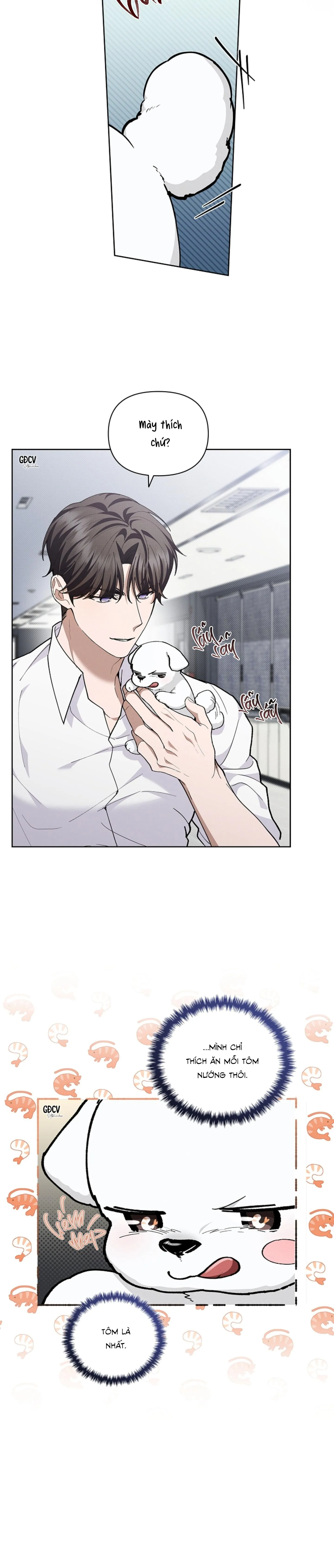 ĐỪNG CHẠM VÀO CÚN CON CỦA TÔI Chapter 10 Trang 11