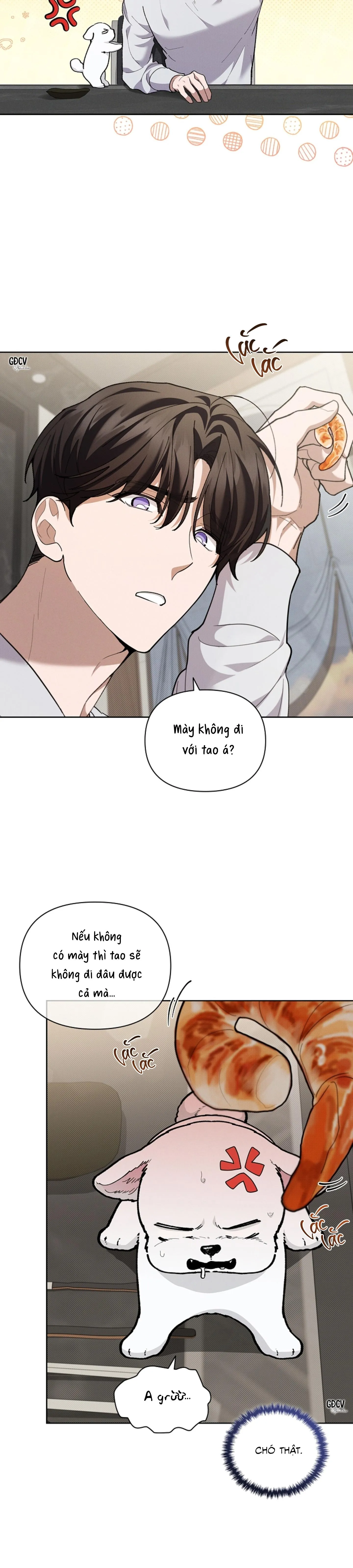 ĐỪNG CHẠM VÀO CÚN CON CỦA TÔI Chapter 10 Trang 15