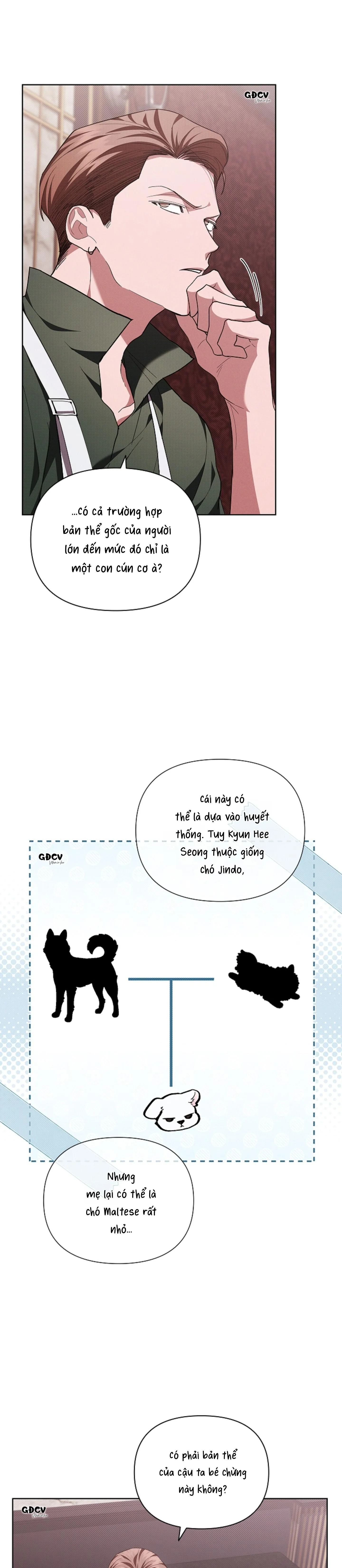 ĐỪNG CHẠM VÀO CÚN CON CỦA TÔI Chapter 11 Trang 25