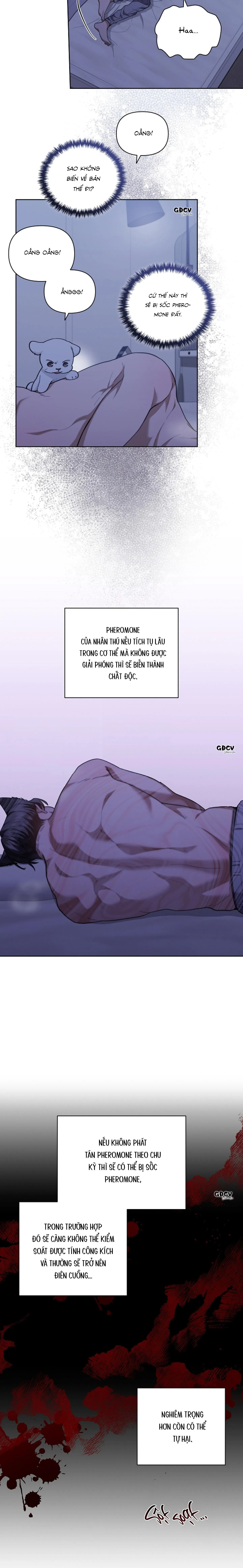 ĐỪNG CHẠM VÀO CÚN CON CỦA TÔI Chapter 12 Trang 33