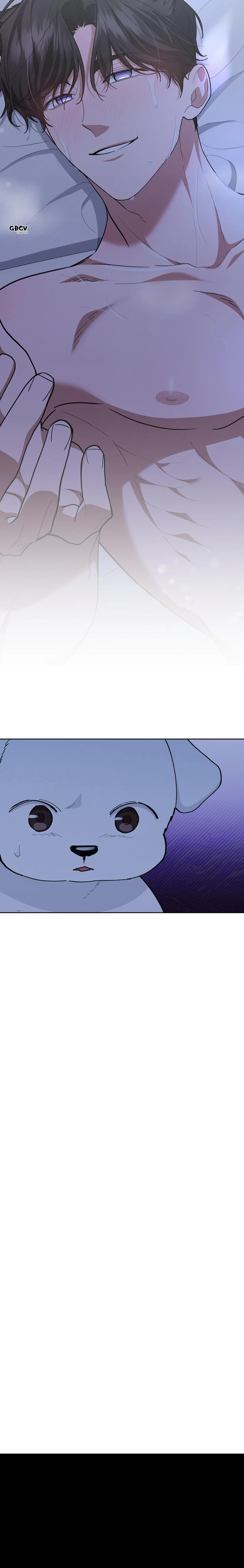 ĐỪNG CHẠM VÀO CÚN CON CỦA TÔI Chapter 12 Trang 35