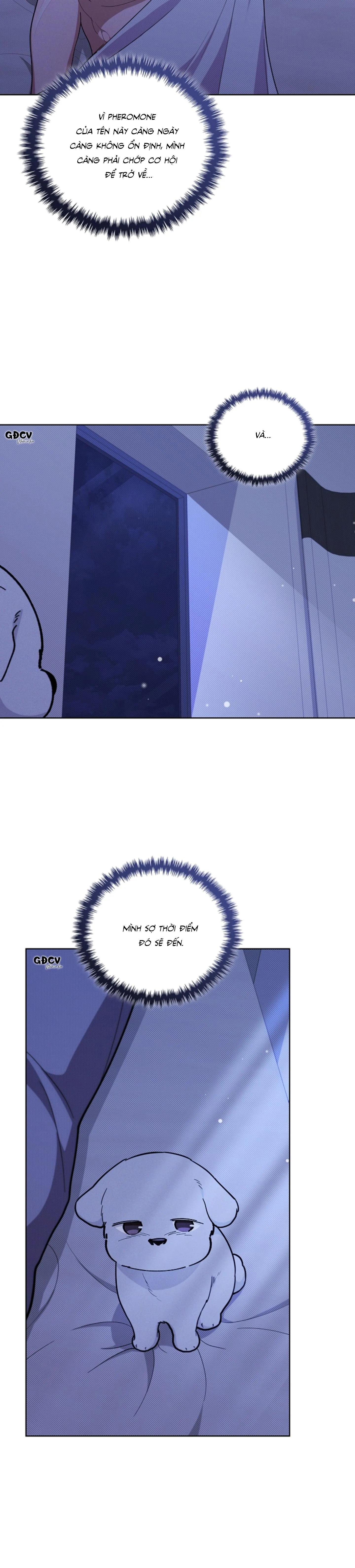 ĐỪNG CHẠM VÀO CÚN CON CỦA TÔI Chapter 13 Trang 6