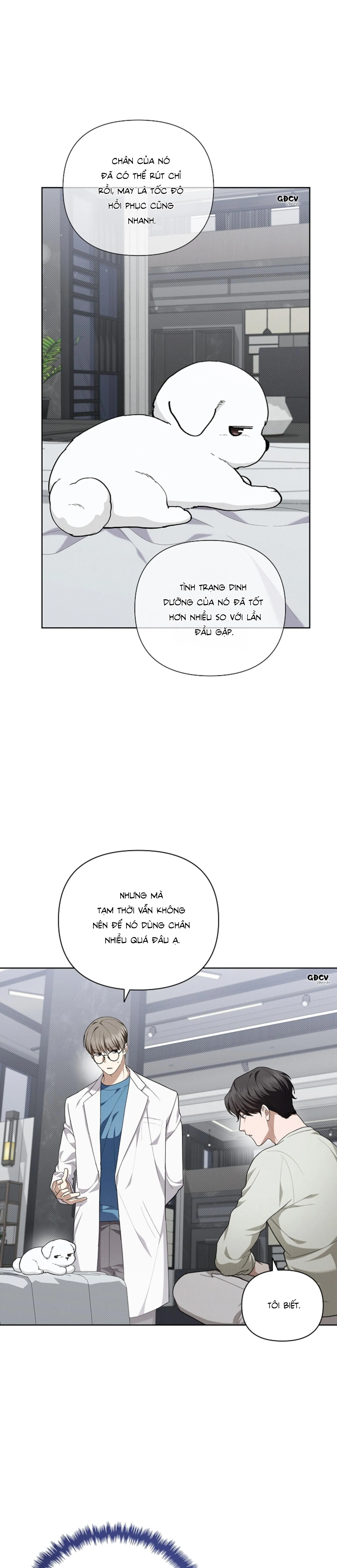 ĐỪNG CHẠM VÀO CÚN CON CỦA TÔI Chapter 13 Trang 23