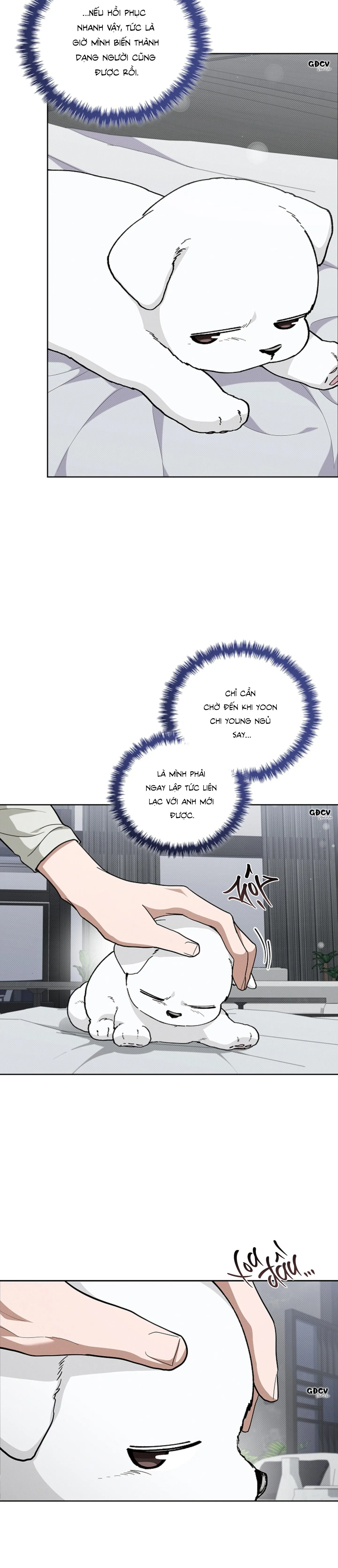 ĐỪNG CHẠM VÀO CÚN CON CỦA TÔI Chapter 13 Trang 24
