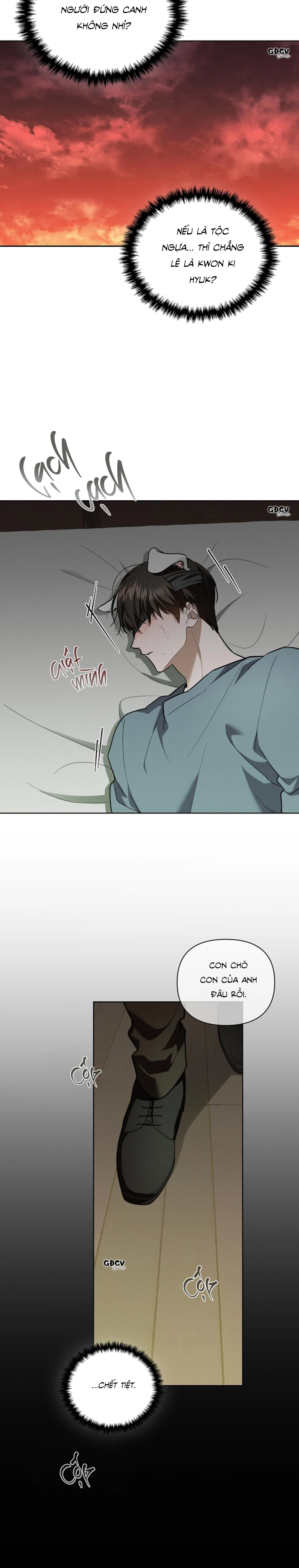 ĐỪNG CHẠM VÀO CÚN CON CỦA TÔI Chapter 15 Trang 11