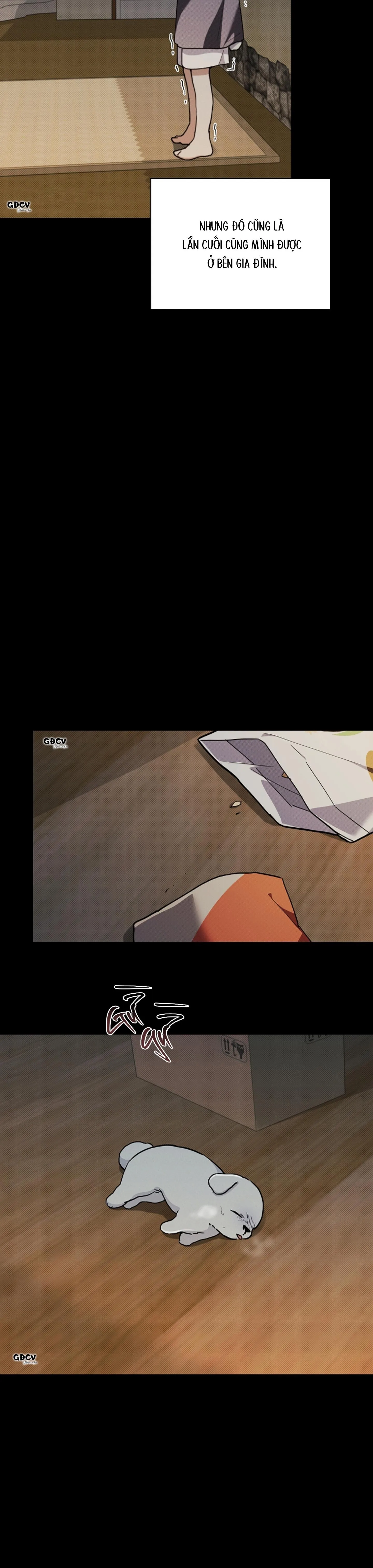 ĐỪNG CHẠM VÀO CÚN CON CỦA TÔI Chapter 16 Trang 4