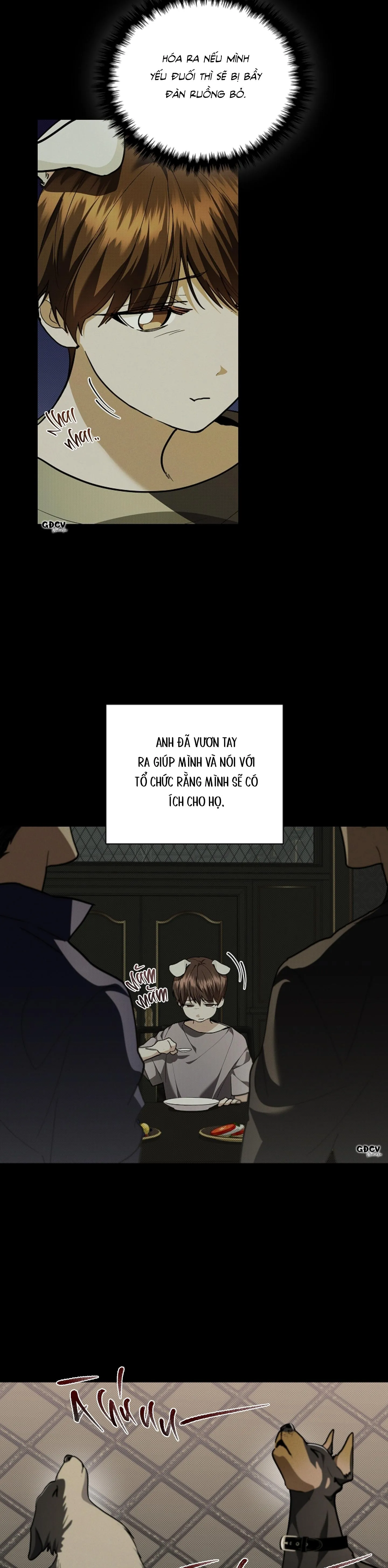 ĐỪNG CHẠM VÀO CÚN CON CỦA TÔI Chapter 16 Trang 10