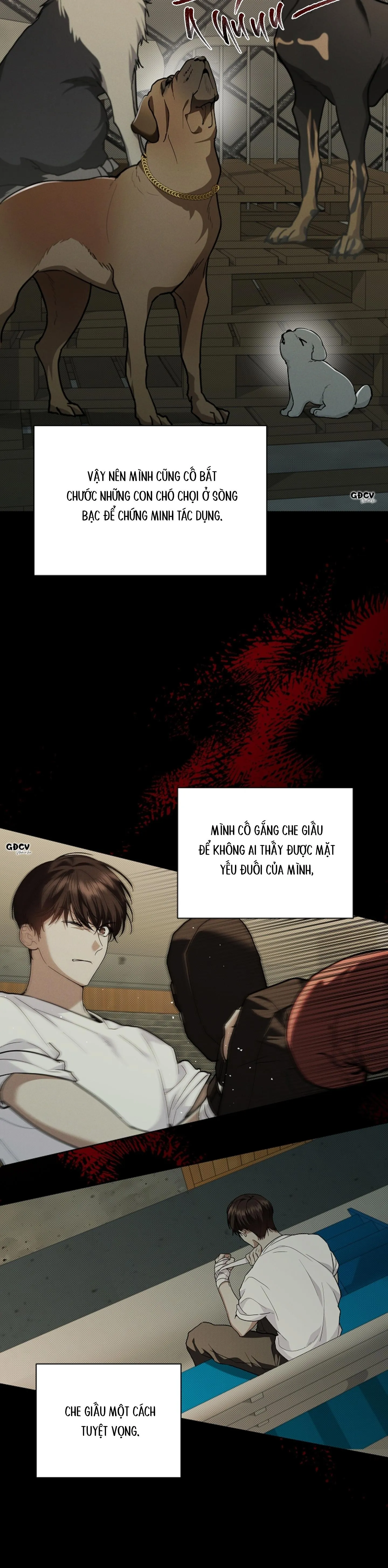 ĐỪNG CHẠM VÀO CÚN CON CỦA TÔI Chapter 16 Trang 11