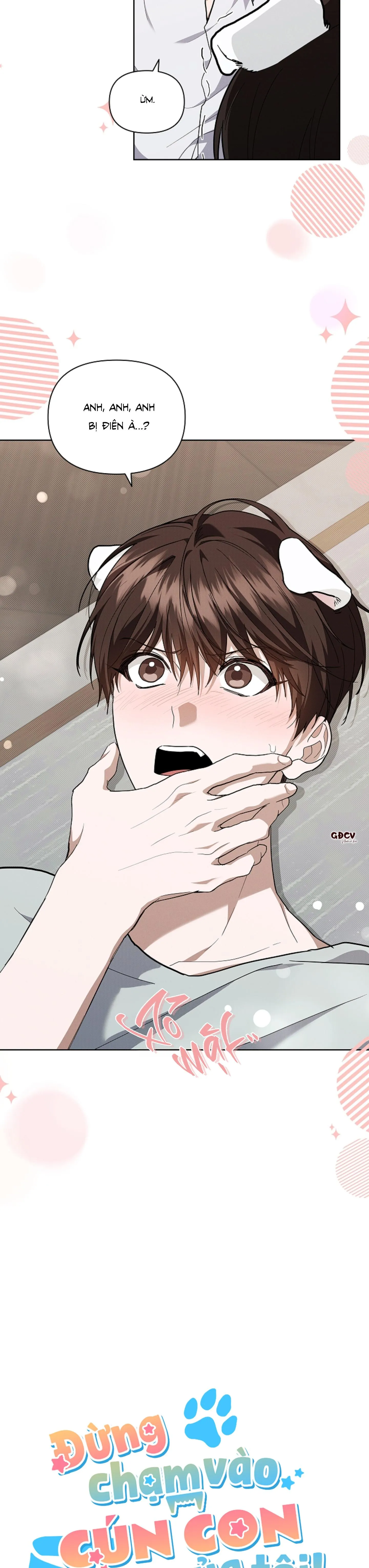 ĐỪNG CHẠM VÀO CÚN CON CỦA TÔI Chapter 17 Trang 3