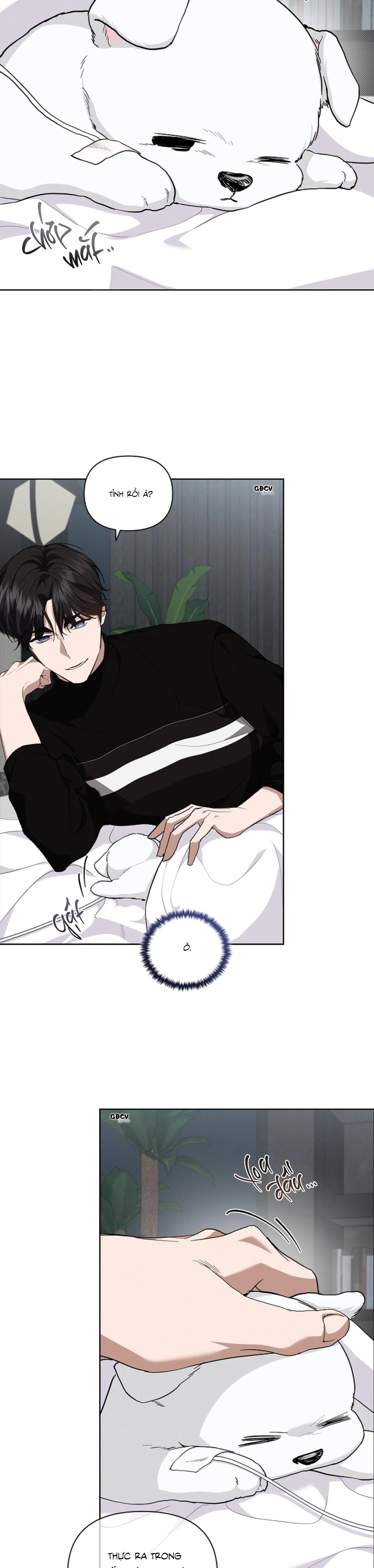 ĐỪNG CHẠM VÀO CÚN CON CỦA TÔI Chapter 17 Trang 19