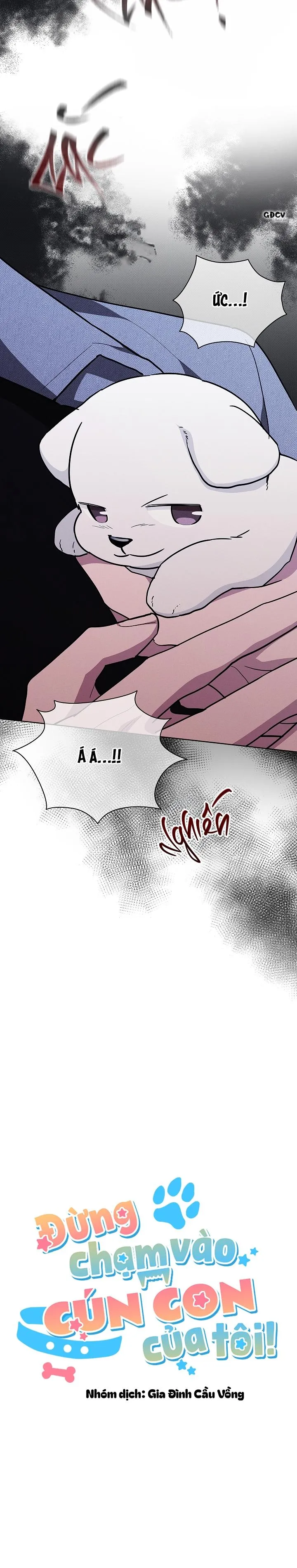 ĐỪNG CHẠM VÀO CÚN CON CỦA TÔI Chapter 18 Trang 9