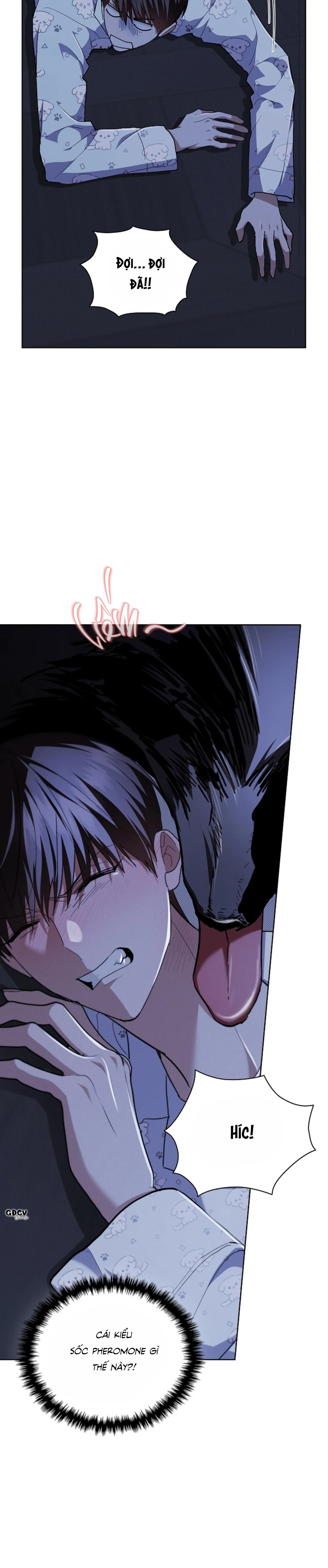 ĐỪNG CHẠM VÀO CÚN CON CỦA TÔI Chapter 19 Trang 10