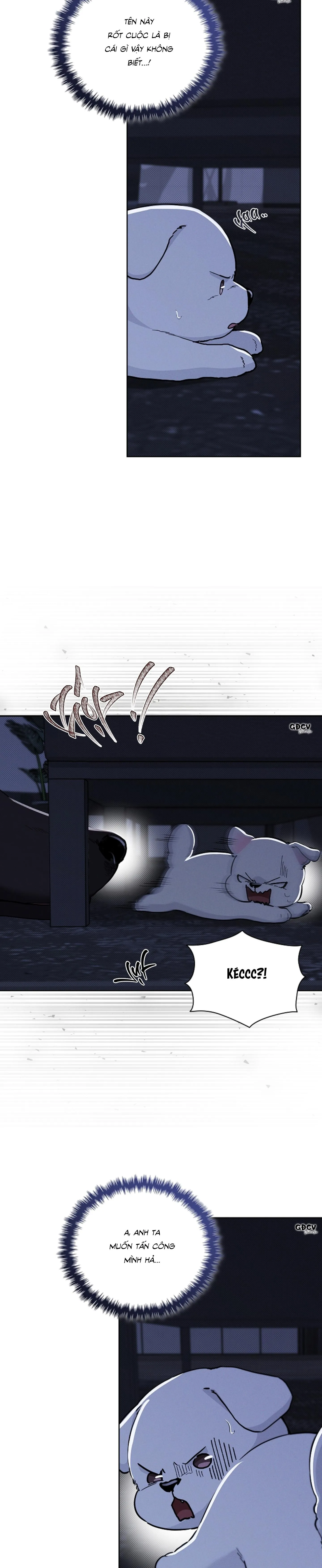 ĐỪNG CHẠM VÀO CÚN CON CỦA TÔI Chapter 19 Trang 13