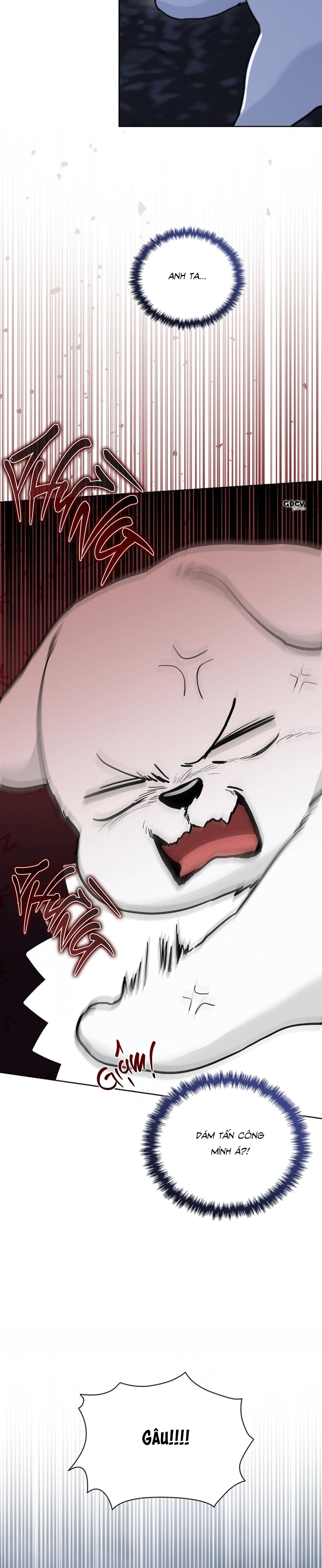 ĐỪNG CHẠM VÀO CÚN CON CỦA TÔI Chapter 19 Trang 14