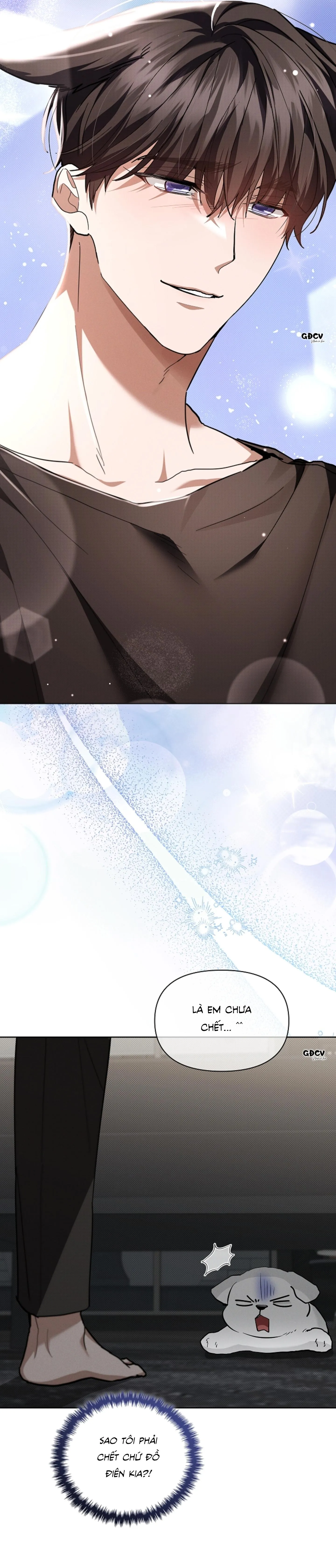 ĐỪNG CHẠM VÀO CÚN CON CỦA TÔI Chapter 19 Trang 21