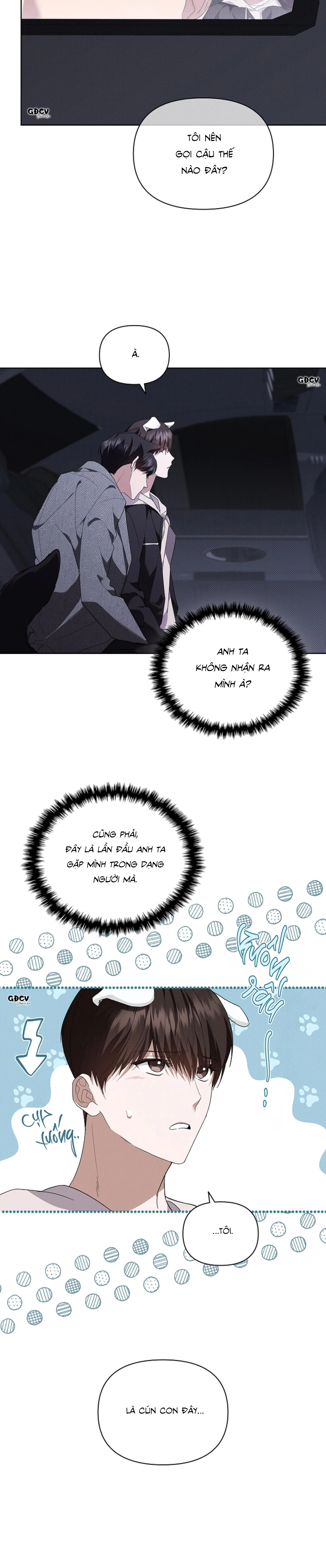 ĐỪNG CHẠM VÀO CÚN CON CỦA TÔI Chapter 19 Trang 33
