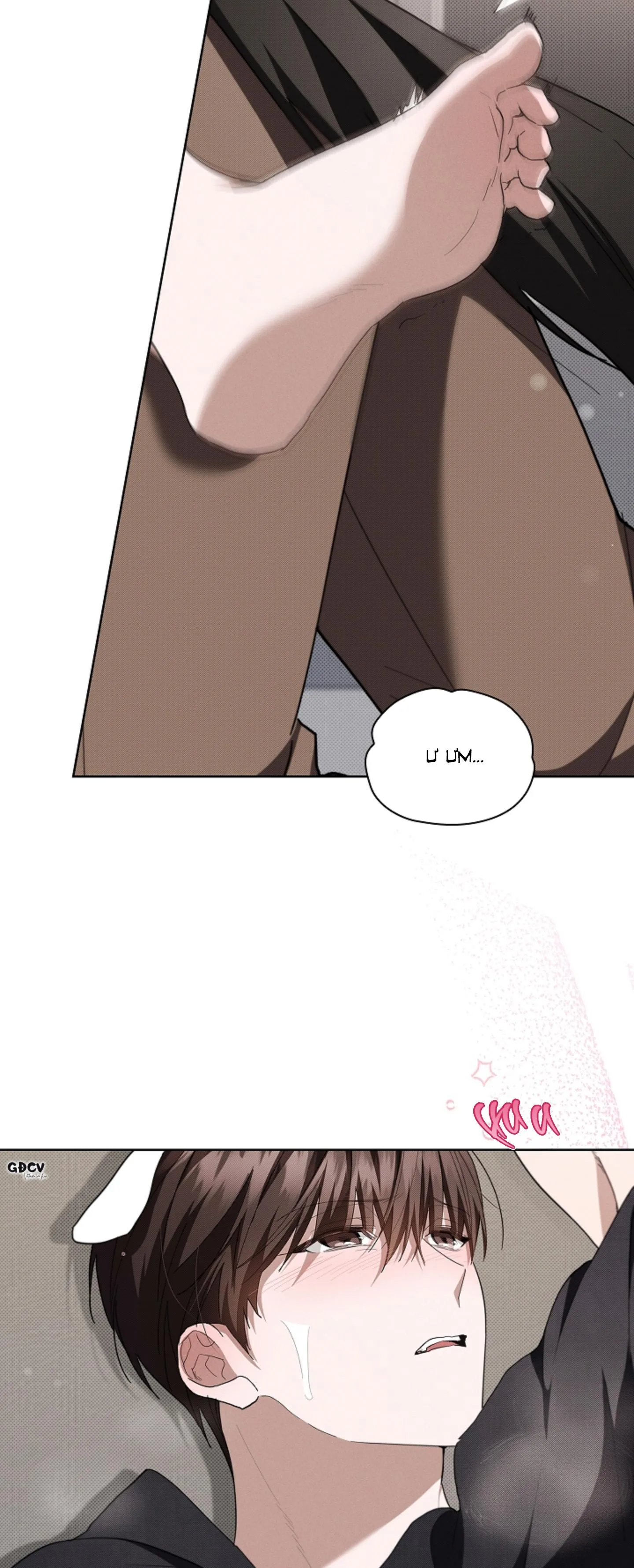 ĐỪNG CHẠM VÀO CÚN CON CỦA TÔI Chapter 22 Trang 32