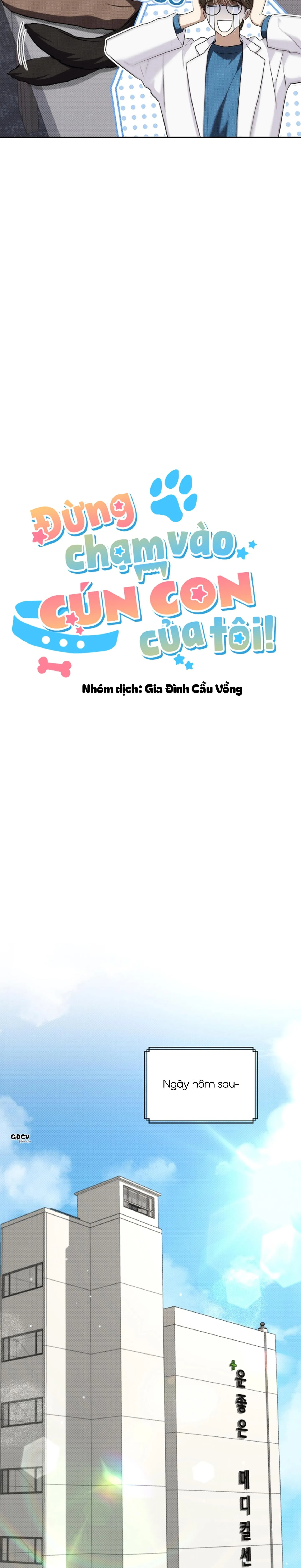 ĐỪNG CHẠM VÀO CÚN CON CỦA TÔI Chapter 23 Trang 6